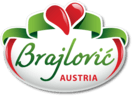 Brajlovic Logo
