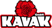 Kavak Logo